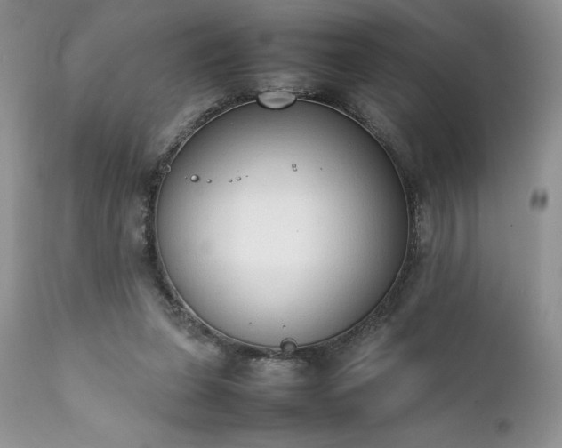 X0000111780255200907301128