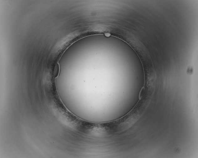 X0000111780256200907301128