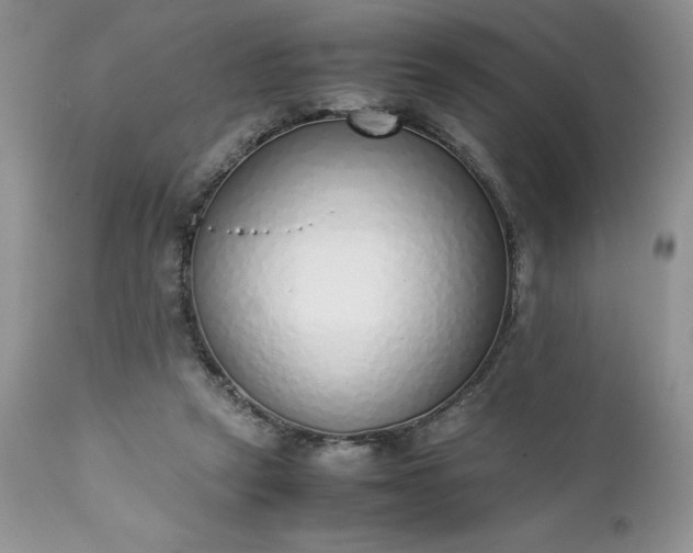X0000111780257200907301128
