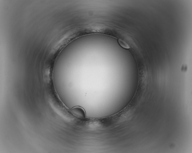 X0000111780262200907301128