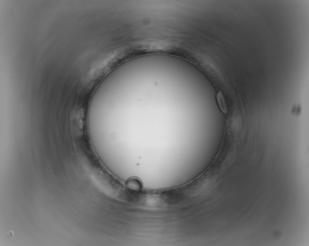X0000111780264200907301128
