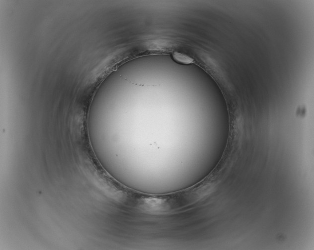 X0000111780265200907301128
