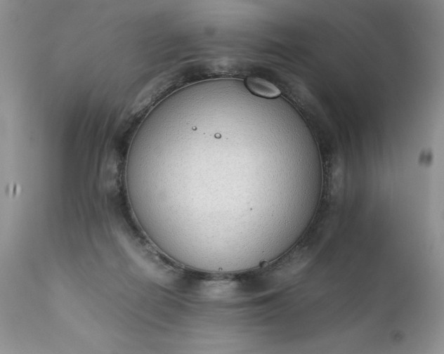 X0000111780266200907301128