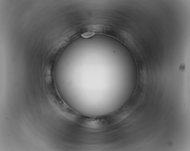X0000111780267200907301128