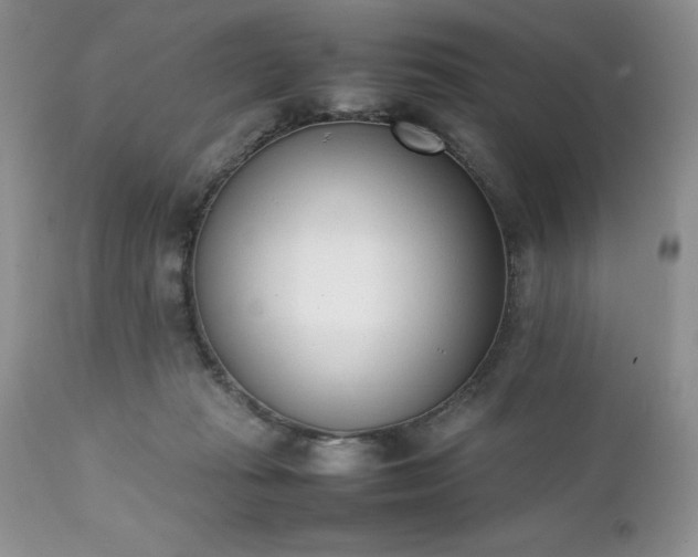 X0000111780269200907301128