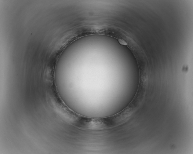 X0000111780270200907301128
