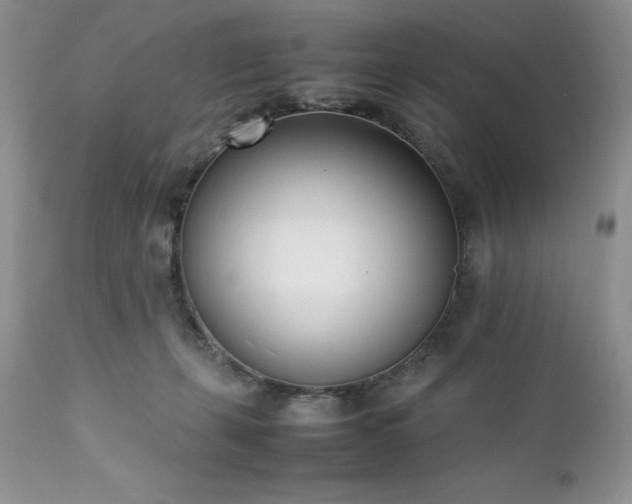 X0000111780271200907301128