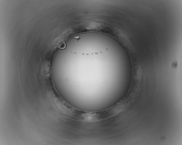 X0000111780273200907301128