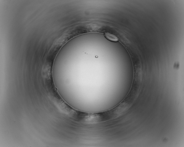 X0000111780274200907301128