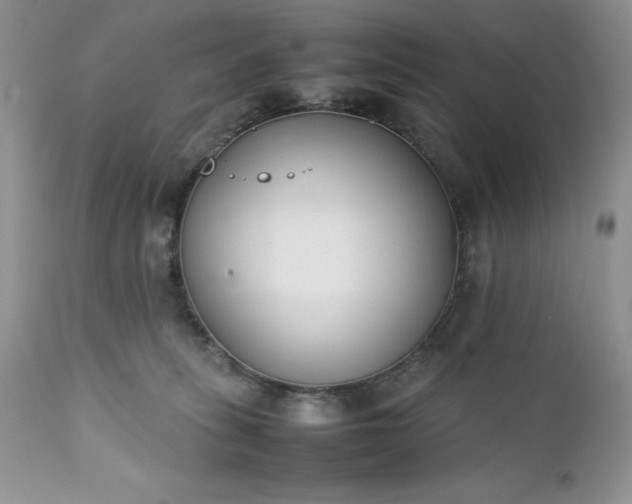 X0000111780275200907301128