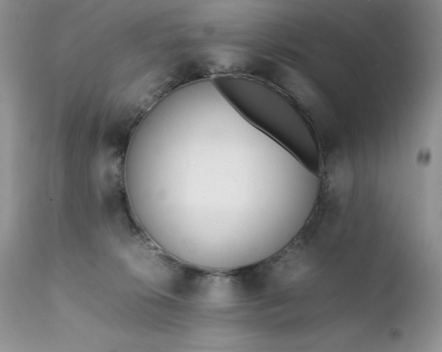 X0000111780276200907301128