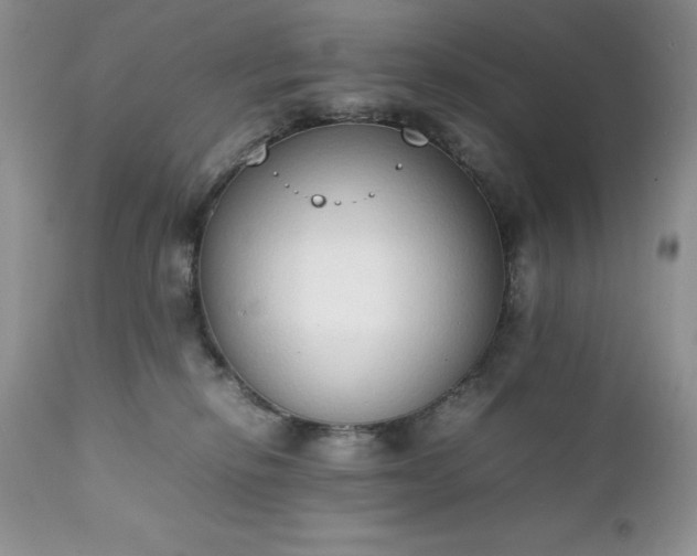 X0000111780278200907301128