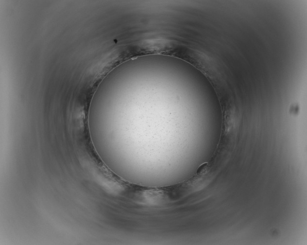 X0000111780279200907301128