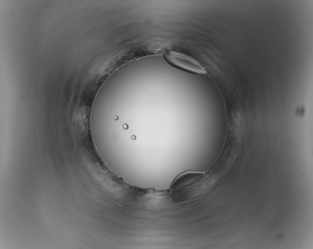 X0000111780280200907301128