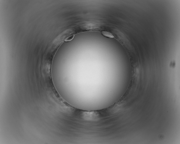 X0000111780281200907301129