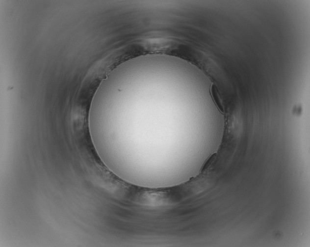 X0000111780283200907301129