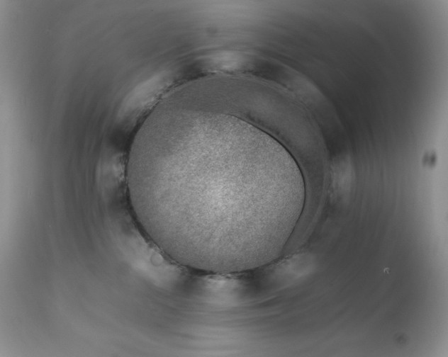 X0000111780284200907301129