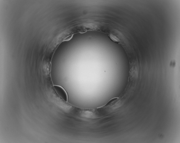 X0000111780285200907301129