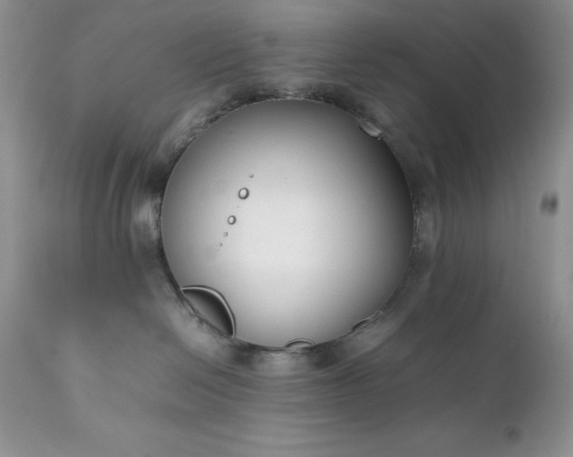 X0000111780286200907301129