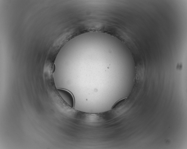 X0000111780287200907301129