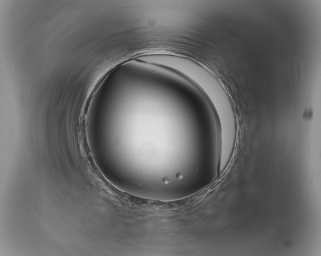 X0000111780289200907301128