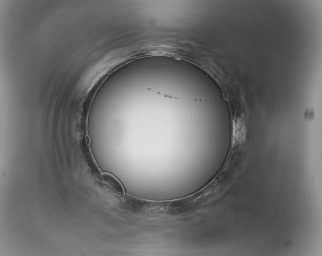 X0000111780291200907301128
