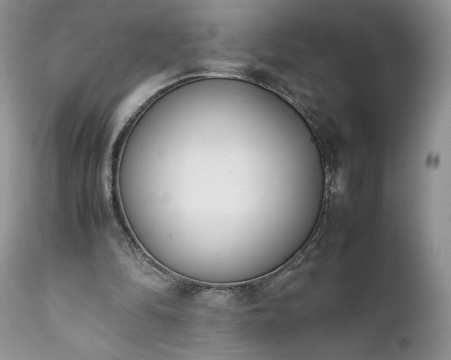 X0000111780294200907301128