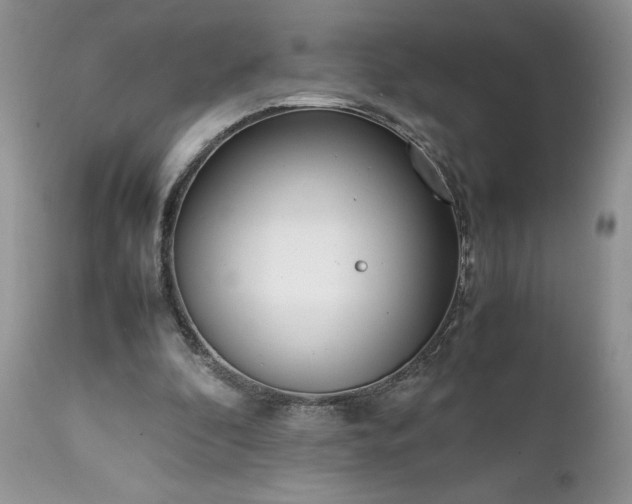 X0000111780296200907301128