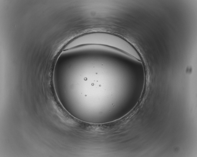 X0000111780297200907301128