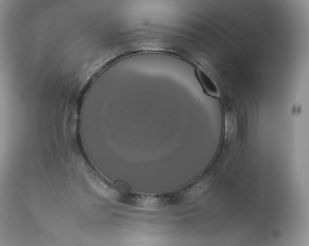 X0000111780301200907301128