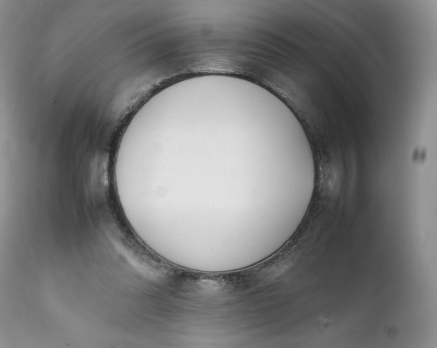 X0000111780302200907301128