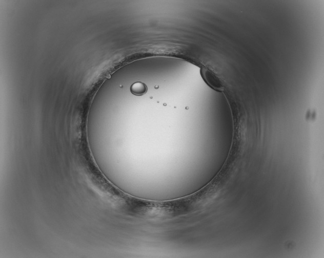 X0000111780303200907301127