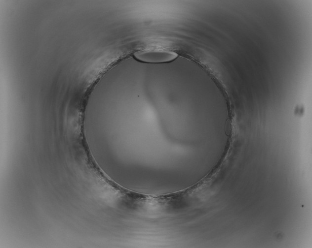 X0000111780305200907301127