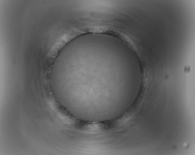 X0000111780307200907301127