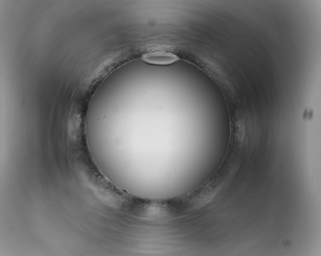 X0000111780308200907301127