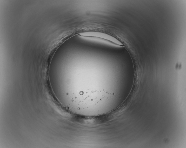 X0000111780309200907301127