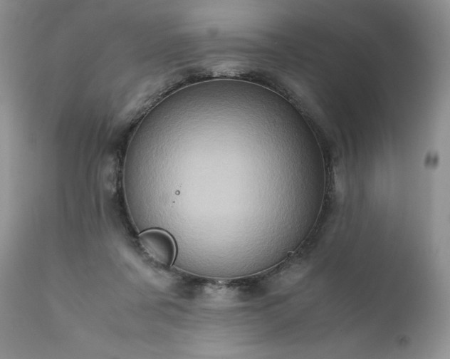 X0000111780311200907301127