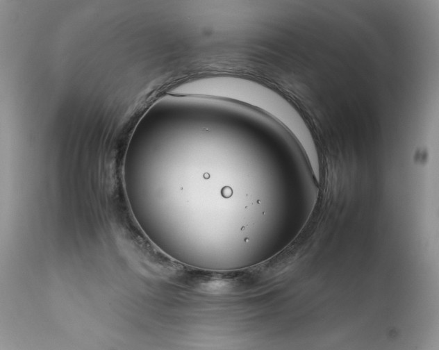 X0000111780312200907301127