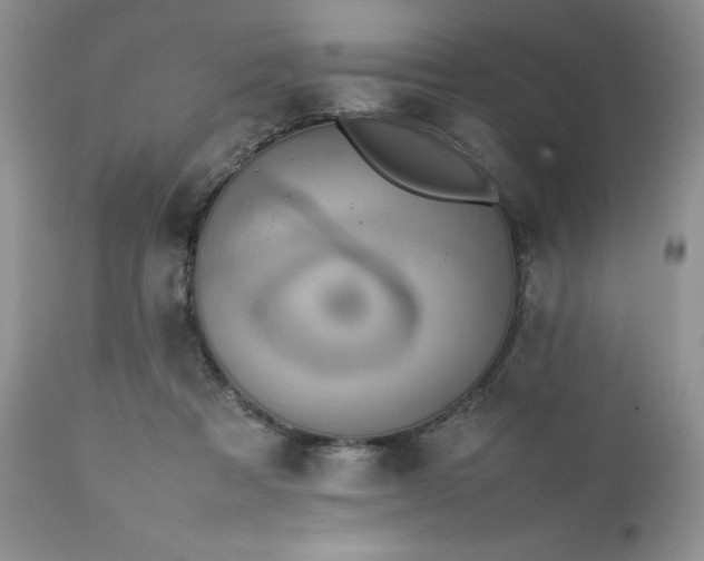 X0000111780313200907301127