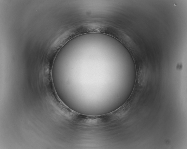 X0000111780314200907301127