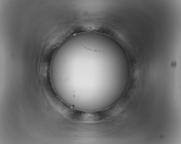 X0000111780315200907301127