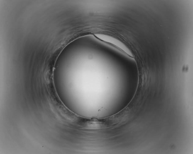 X0000111780316200907301127