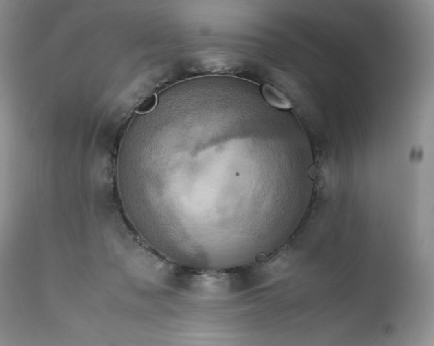 X0000111780317200907301127