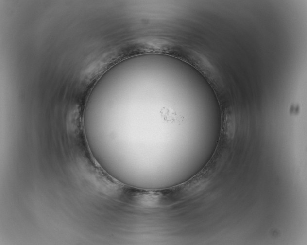 X0000111780318200907301127