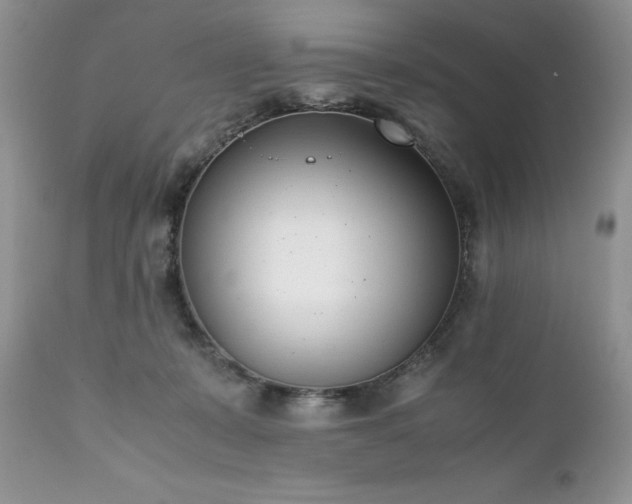 X0000111780319200907301127