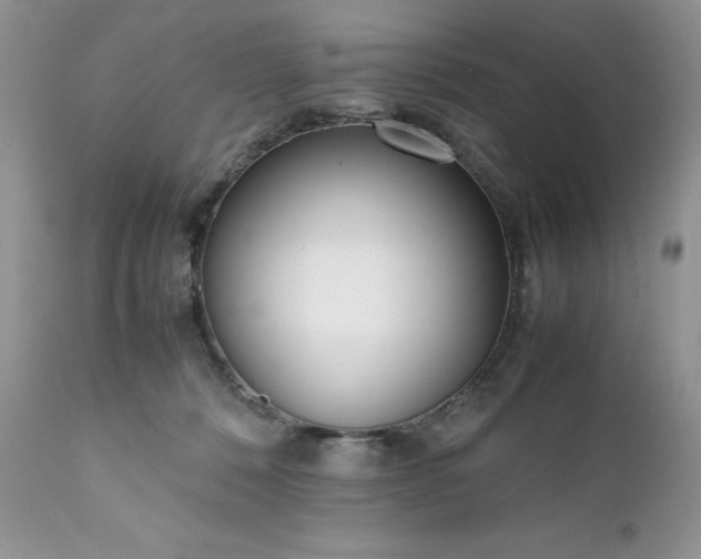 X0000111780320200907301127