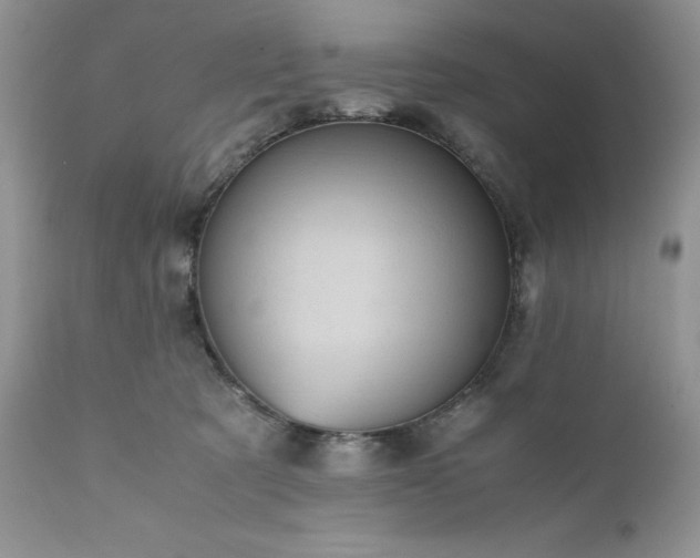 X0000111780321200907301127