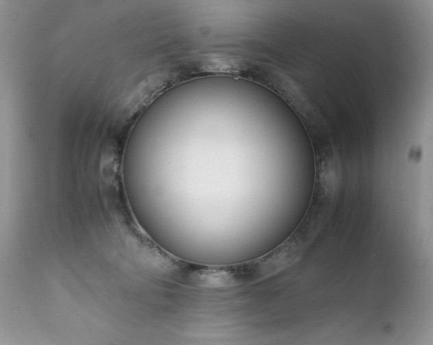 X0000111780322200907301127