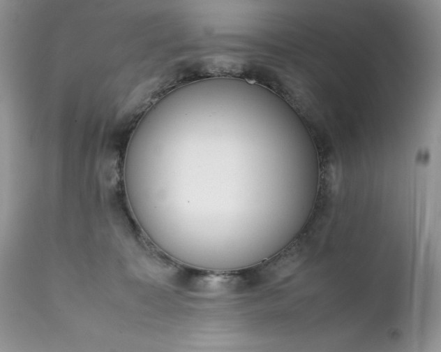 X0000111780323200907301127