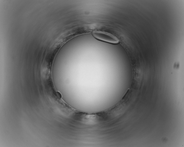 X0000111780324200907301127